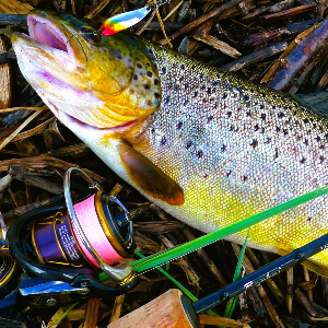 Обзор Sunline Shooter Defier D-Braid. Бросающий вызов