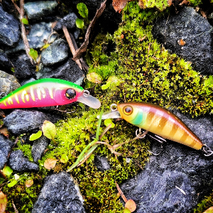 Наш ответ Риджу. Обзор Jackall Chubby minnow 35SP