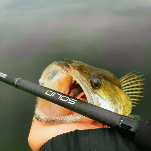 Zemex 24 Solid 832M — обзор