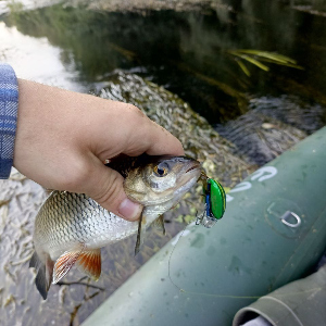 Обзор Kosadaka May Beetle: воблер-майский жук