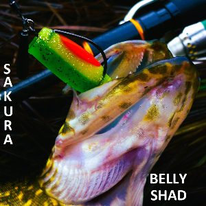 Обзор Sakura Belly Shad. Резина, вкусная для щуки