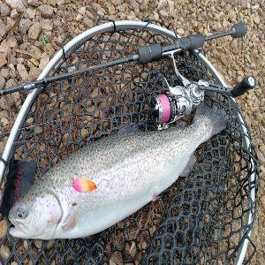 Топовый ультралайт - обзор Abu Garcia Zenon