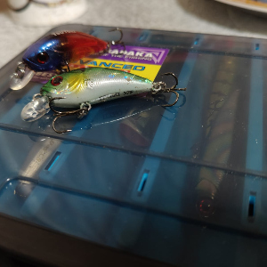 Возвращение забытой классики. Обзор TsuYoki Itteki.