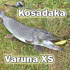Покоритель трофеев от Kosadaka. Обзор Kosadaka Varuna XS
