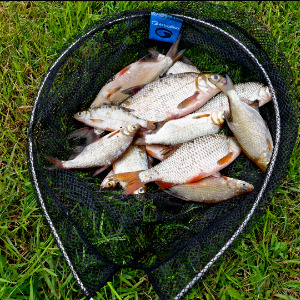 Недорого и качественно. Обзор головы подсака Garbolino Coup Practis