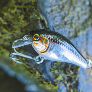 В полку универсалов прибыло! Обзор Jackall Aska 45 SR