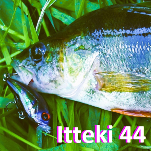 Обзор воблера TsuYoki Itteki 44F. Возрождение легенды Super Hornet