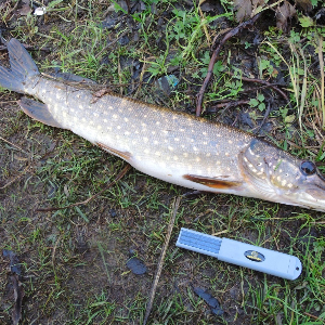 Обзор точилки Kosadaka THF. Мелочи, спасающие рыбалку.