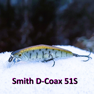 Обзор воблера Smith D-Coax 51S. Уговорит кого угодно