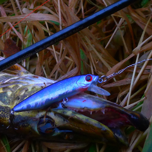 Обзор воблера TsuYoki Scalpel 72SP. Толковый клон Декстера