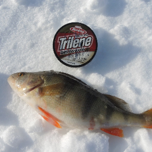 Обзор лески Berkley Trilene Fluorocarbon XL.