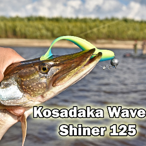Яркая классика в новом исполнении. Обзор Kosadaka Wave Shiner 125
