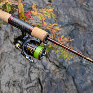 Обзор Zetrix Bliss 632XUL – БЛИССтательный выход