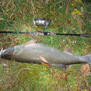 Фавориты. А теперь горбатый. Обзор TsuYoki Watson 80SP.