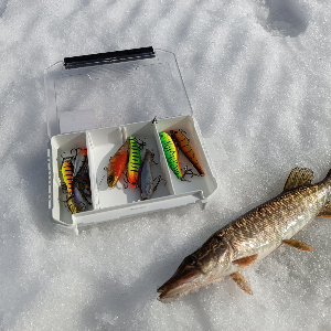 Обзор коробки для приманок Kosadaka TB-S38-WH