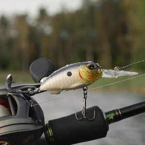 Сравнительный обзор Kosadaka Synthez XL 55F и Megabass Cyclone MR-X