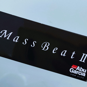 Один в поле воин. Обзор Abu Garcia Mass Beat II 742L