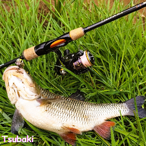 Sakura Tsubaki 703ML. Идеальный инструмент для голавля и лососевых