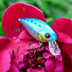 Обзор воблера TsuYoki Chafer 40F.