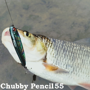 Обзор Jackall Chubby Pencil 55. Топвотер Топ-уровня