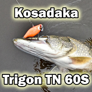 Компактный «косильщик» Kosadaka Trigon TN. Обзор
