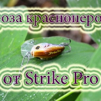 Гроза красноперок от Strike Pro