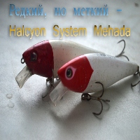 Редкий, но меткий - Halcyon System Mehada