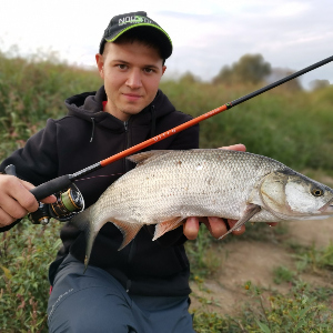 Осенняя рыбалка: предзакатный жерех