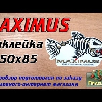 Видеообзор наклейки Maximus Рыба