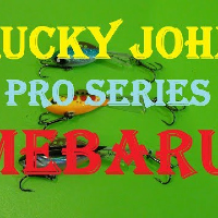 Видеообзор уловистого балансира Lucky John Pro Series Mebaru.