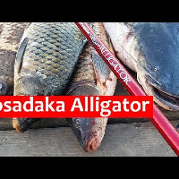 Обзор доступного силового удилища Kosadaka Alligator