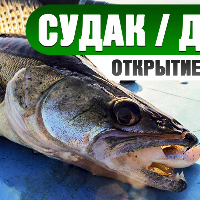 Отличный клев судака! Открытие лодочного сезона 2019. Судак на джиг.