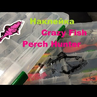 Видеообзор наклейки Crazy Fish Perch Hunter по заказу Fmagazin