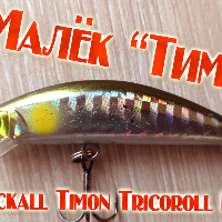 Видеообзор воблера Jackall Timon Tricoroll HW по заказу Fmagazin