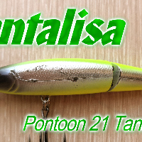 Видеообзор воблера Pontoon 21 Tantalisa по заказу Fmagazin