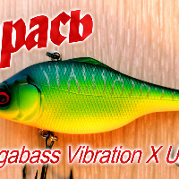 Видеообзор воблера Megabass Vibration X Ultra по заказу Fmagazin
