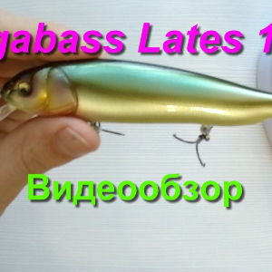 Видеообзор Megabass Lates 120 F по заказу Fmagazin