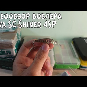 Видеообзор воблера Daiwa SC Shiner 4SP по заказу с Fmagazin