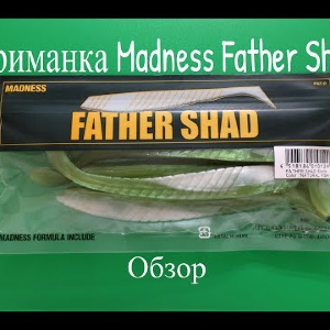 Видеообзор силиконовой приманки Madness Father Shad по заказу Fmagazin