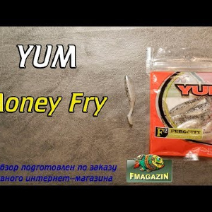 Видеообзор Yum Money Fry