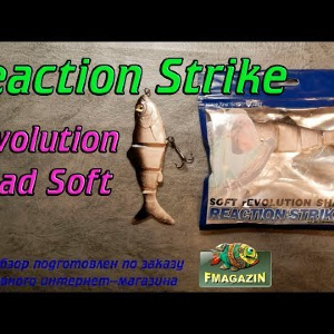 Видеообзор Reaction Strike Revolution Shad Soft