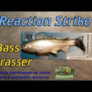 Видеообзор Reaction Strike Bass Harasser по заказу Fmagazin