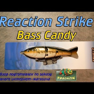 Видеообзор Reaction Strike Bass Candy по заказу Fmagazin