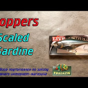 Видеообзор Koppers Scaled Sardine по заказу Fmagazin