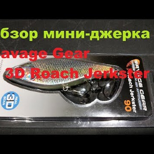 Видеообзор джерка Savage Gear 3D Roach Jerkster по заказу Fmagazin
