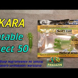 Видеообзор Akara Eatable Insect по заказу Fmagazin
