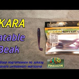 Видеообзор Akara Eatable Beak по заказу Fmagazin