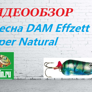 Видеообзор Блесны DAM Effzett Super Natural по заказу Fmagazin.