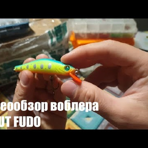 Видеообзор воблера SPRUT FUDO по заказу с Fmagazin