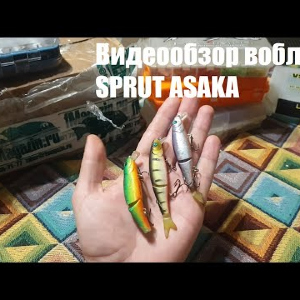 Видеообзор воблера SPRUT ASAKA по заказу с Fmagazin